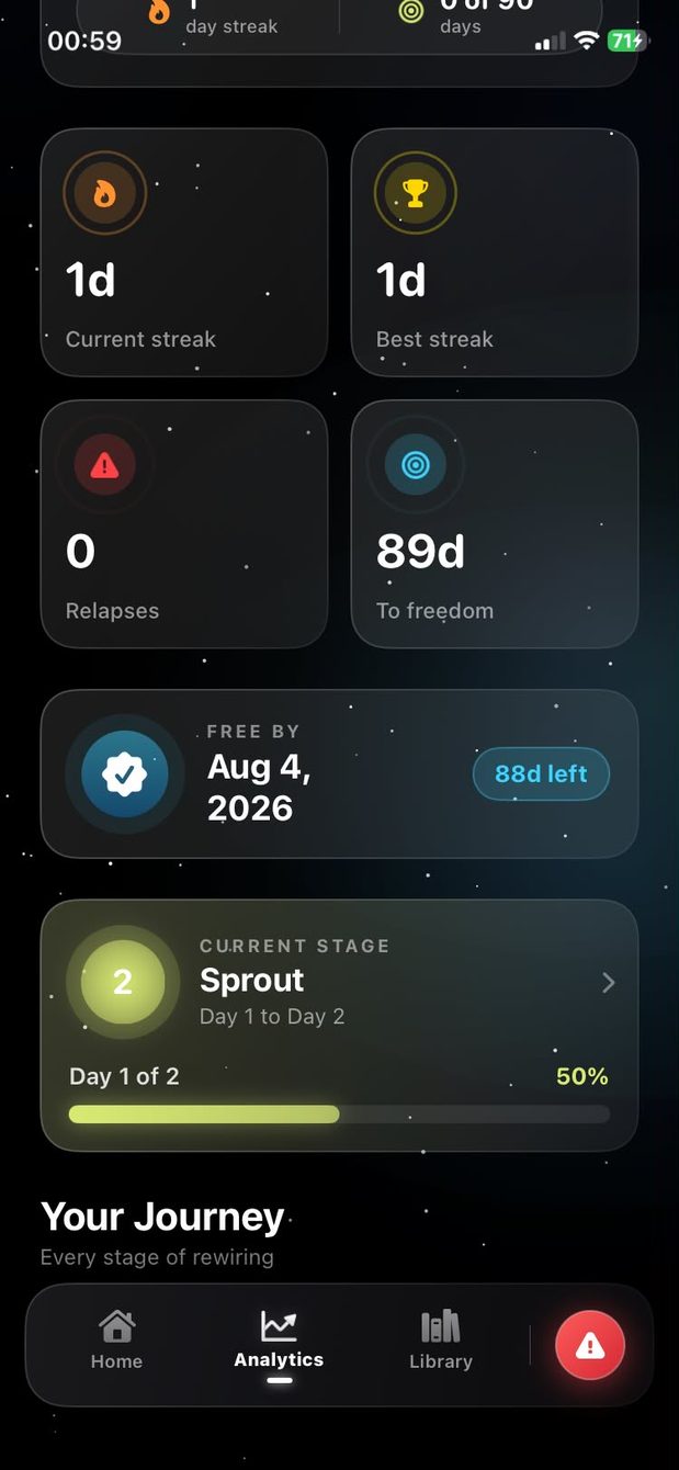 Relustt analytics dashboard